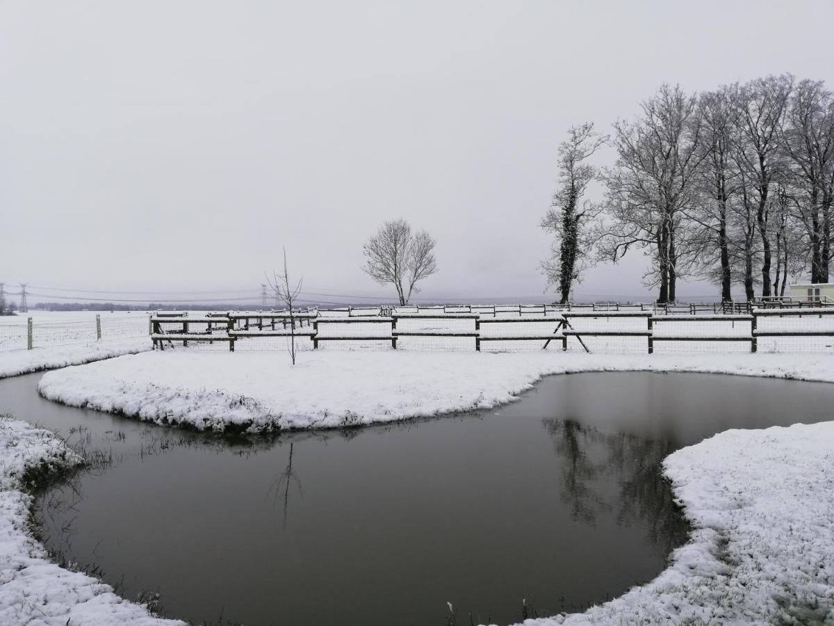Отель Pulilane Le Torp-Mesnil Экстерьер фото
